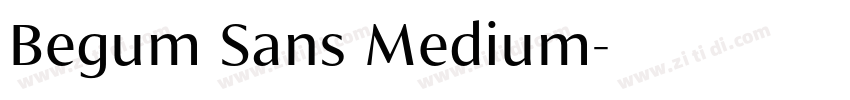 Begum Sans Medium字体转换